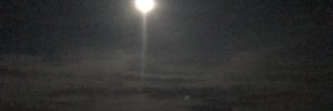 UNADJUSTEDNONRAW_thumb_1a93