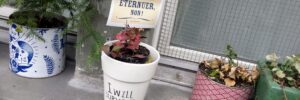 Covid-I will survive-Laurette