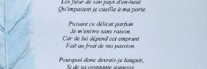 chanez-1