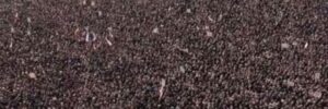 Pixels PHOTO-2021-11-23-14-23-15