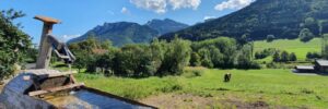 source_eau_vallee_montagnes_medium