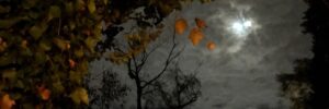 Lune