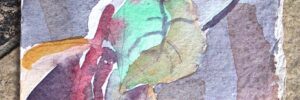 1976-09-10x19-Muriaux-plante-Rouge-contre-Jour-aquar02