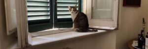 ChatRome