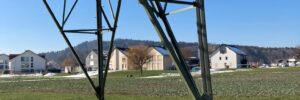 PHOTO-2023-02-12-12-53-19