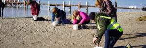 Benevoles-ramassant-des-macroplastiques-sur-la-plage-de-Preverenges-©-ASL-1
