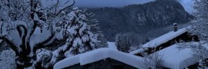 neige