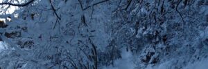 belhiver