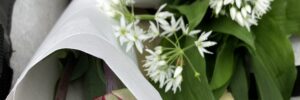 Fleursmarchémicpic