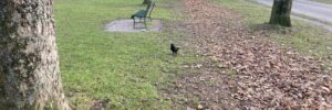 Parc de Milan 2024