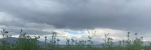Une fraction de seconde plus tard, le ciel se referma. 17.11.22 photo cdt