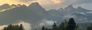 IMG_2619