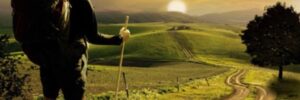 Force de vie (13)- La vie en chemin ou ces petits coups de pouce qui permettent de réaliser que nous ne sommes pas seuls au monde ForceVie13-LaVieEnChemin