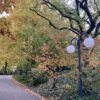Nostalgie automnale couleurs automne