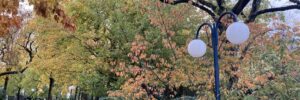 Nostalgie automnale couleurs automne