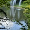 Force de Vie (36) – Joies de la Nature ForceVie36-JoiesNature
