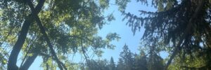 99ec5344-e734-4d5a-bd5b-e4df1927bc1a